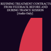 [Audio Download] IC94 Clinical Demonstration 03 - REFINING TREATMENT CONTRACTS FROM FEEDBACK BEFORE AND DURING TRANCE SESSION - Stephen Lankton