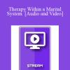 Italian Masters Series - Therapy Within a Marital System - Milton Erickson