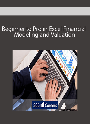 Beginner to Pro in Excel Financial Modeling and Valuation