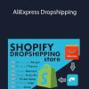 Build Shopify Dropshipping Store - AliExpress Dropshipping