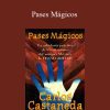 Carlos Castaneda – Pases Mágicos