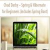 Chad Darby – Spring & Hibernate for Beginners (includes Spring Boot)