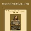 [Download Now] Cheryl Sanders - Following The Organism in TRE