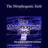 Christopher Tims - The Morphogenic field