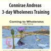 [Download Now] Connirae Andreas – 3-day Wholeness Training