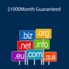 DNBlackbook Ultimate Domaining - $1000/Month Guaranteed