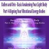 [Download Now] DaBen and Orin - Basic Awakening Your Light Body: Part 4 Aligning Your Vibrational Energy Bodies