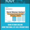 [Download Now] David Siteman Garland - Grow Your Email List Like A Freakin’ Weed