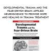 [Download Now] Developmental Trauma and The Fear-Driven Brain: Applied Neuroscience to Provide Hope and Healing in Trauma Treatment – Sebern Fisher