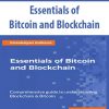 Essentials of Bitcoin and Blockchain