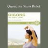 [Download Now] Francesco & Daisy Lee-Garripoli – Qigong for Stress Relief