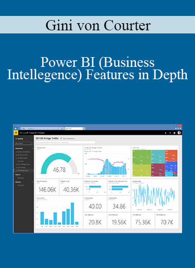 Gini von Courter - Power BI (Business Intellegence) Features in Depth