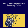 Graham Nicholls - The Ultimate Depression Recovery Guide