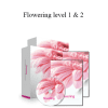 Holosync - Flowering level 1 & 2