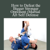 How to Defeat the Bigger Stronger Opponent (Martial Art Self Defense - Stephan Resting