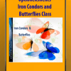 Optionelements - Iron Condors and Butterflies Class