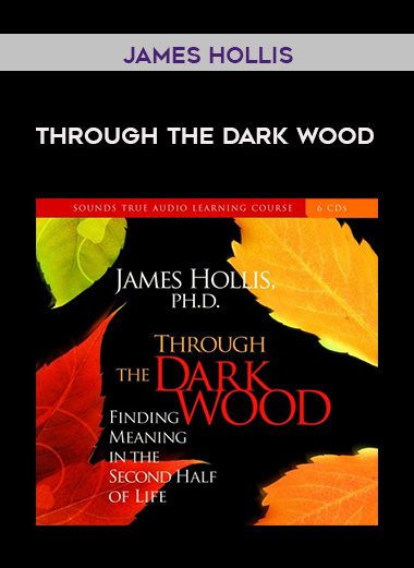 James Hollis – THROUGH THE DARK WOOD