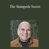 Joe Vitale and Laura Childs - The Stampede Secret