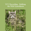 John Overdurf - TCU Recording...Stalking the Wild Synesthesia