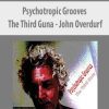 [Download Now] John Overdurf – Psychotropic Grooves: The Third Guna