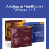 Joseph Goldstein - Abiding in Mindfulness Volumes 1 - 3