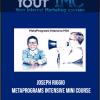 [Download Now] Joseph Riggio - MetaPrograms Intensive Mini Course