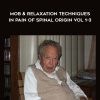 [Download Now] Karel Lewit REPOST – Mob & Relaxation Techniques in Pain of Spinal Origin Vol 1- 3