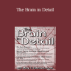 Mary T. Johnson - The Brain in Detail