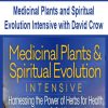 [Download Now] Medicinal Plants and Spiritual Evolution Intensive with David Crow