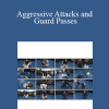 Orlando Sanchez - Aggressive Attacks and Guard Passes