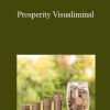 Paul R. Scheele - Prosperity Visualiminal