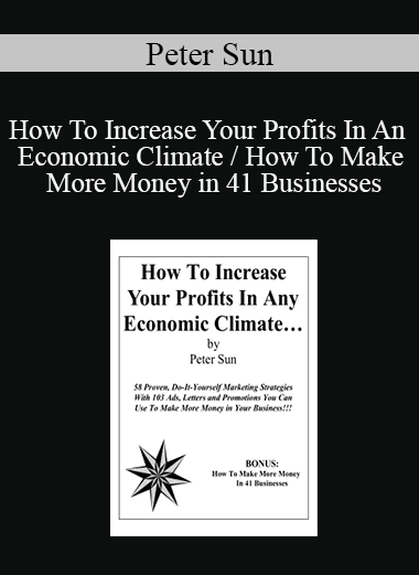 Peter Sun - How To Increase Your Profits In An Economic Climate / How To Make More Money in 41 Businesses