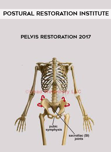 [Download Now] Postural Restoration Institute - Pelvis Restoration 2017