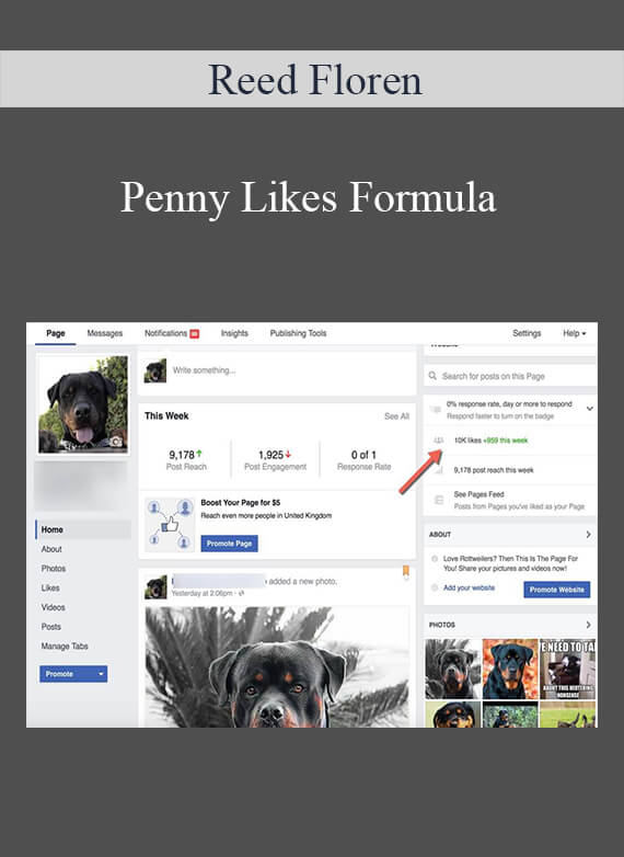 [Download Now] Reed Floren – Penny Likes Formula