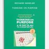 [Download Now] Richard Bandler – Thinking on Purpose