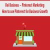 Roi Business – Pinterest Marketing:How to use Pinterest for Business Growth