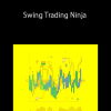 Saad T. Hameed – Swing Trading Ninja: Complete Swing Trading Course