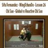 [Download Now] Sifu Fernandez - WingTchunDo - Lesson 26 - Chi Sao - Global vs Reactive Chi Sao