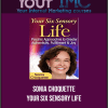 [Download Now] Sonia Choquette - Your Six Sensory Life