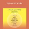 [Download Now] Sound Healing Center - Circulatory System