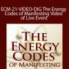 Sue Morter - ECM-21-VIDEO-DIG The Energy Codes of Manifesting - Video of Live Event