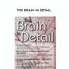 [Download Now] The Brain in Detail – Mary T. Johnson