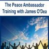 [Download Now] The Peace Ambassador Training with James O'Dea