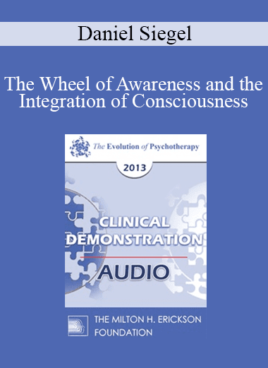 [Audio Download] EP13 Clinical Demonstration 02 - The Wheel of Awareness and the Integration of Consciousness (Live) - Daniel Siegel