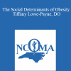 Tiffany Lowe Lowe Payne - The Social Determinants of Obesity - Tiffany Lowe-Payne