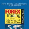 Todd Gordon – Forex Trading Using Fibonacci & Elliott Wave