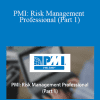 Vanina Mangano - PMI: Risk Management Professional (Part 1)