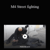 Wing Chun Sil Lim Tao - M4 Street fighting