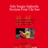 Wing Tjun - Sifu Sergio Iadorola - Section Four Chi Sao