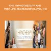 Yuvraj Kapadia - CHII Hypnotherapy and Past Life Regression (level 1-5)